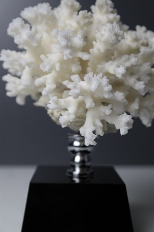 Beyaz Mercan Siyah Cam Kaideli Dekoratif Obje 19 Cm Dekoratif Ev Aksesuarları