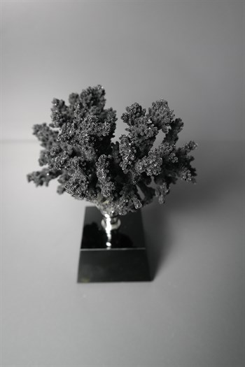Siyah Cam Kiadeli Gümüş Detaylı Orijinal Dekoratif Obje Siyah Mercan 19 Cm Dekoratif Obje